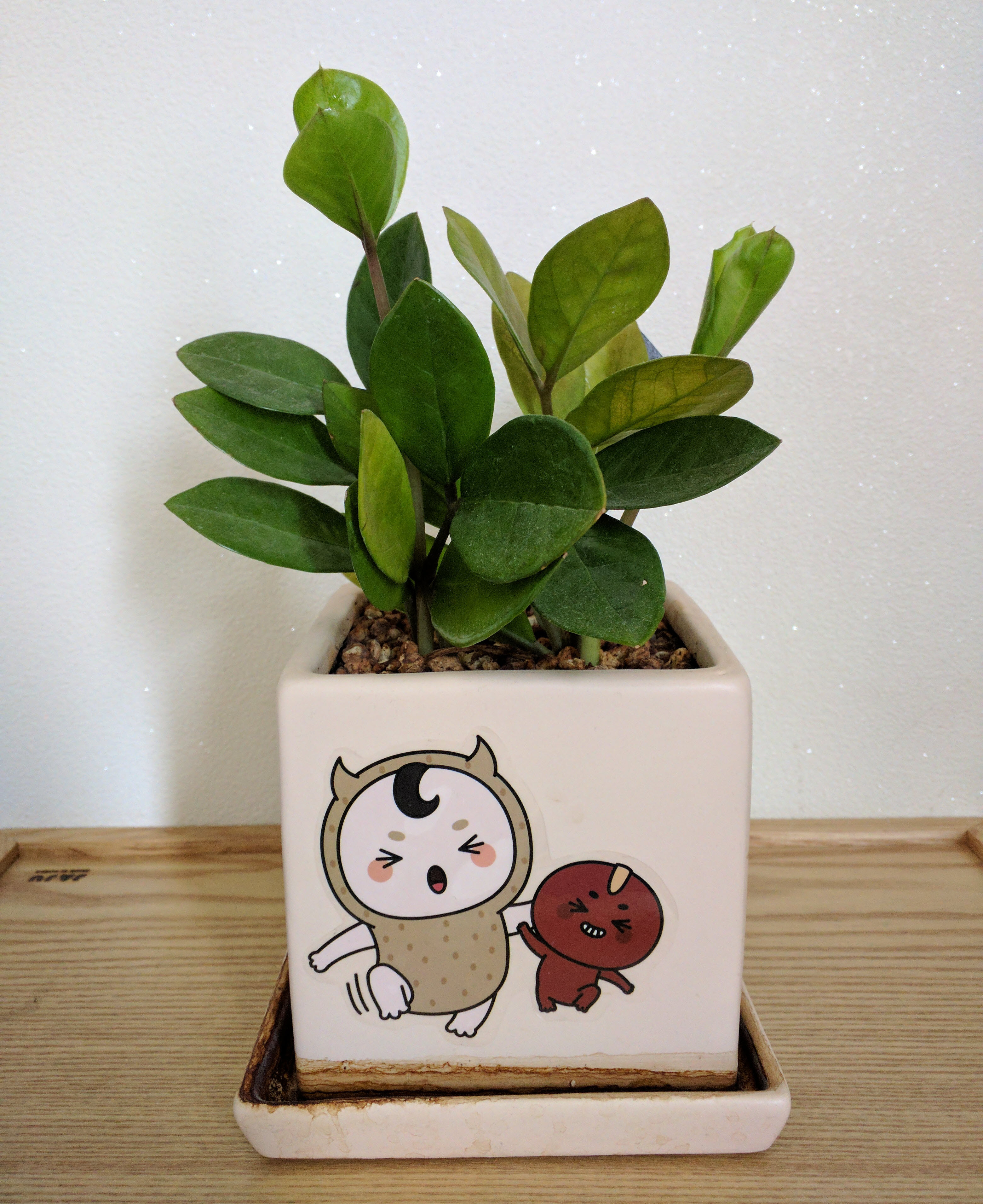 dolce_8wfed3.jpg dolce_8wfed3.jpg